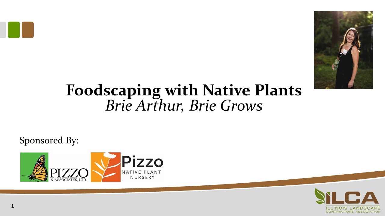 Foodscaping with Natives