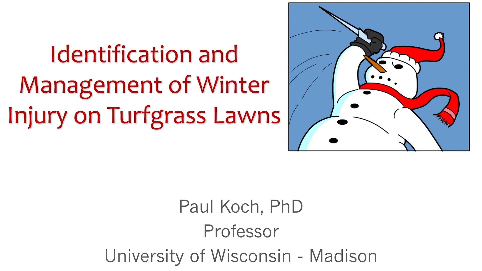 Identification and Management of Winter Injury on Turfgrass Lawns (2025)