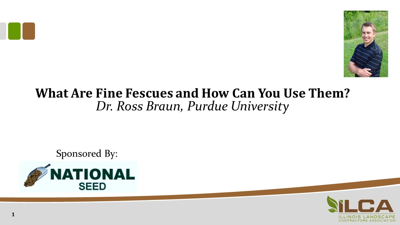What Are Fine Fescues And How Can You Use Them?