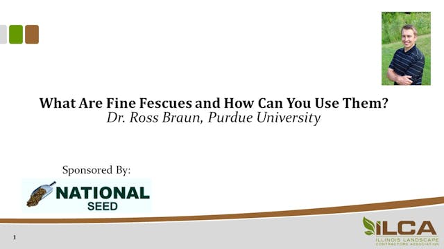 What Are Fine Fescues And How Can You...