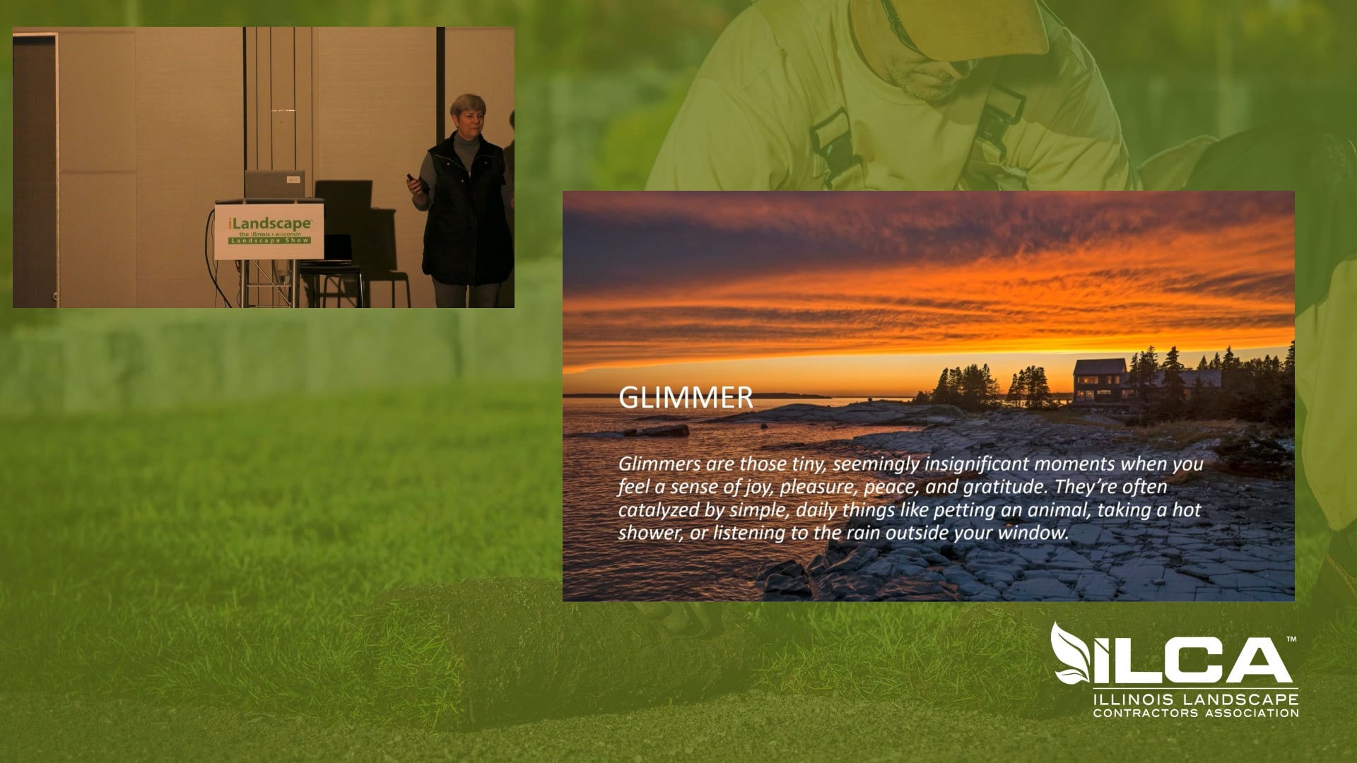 Glimmer and Wild Places