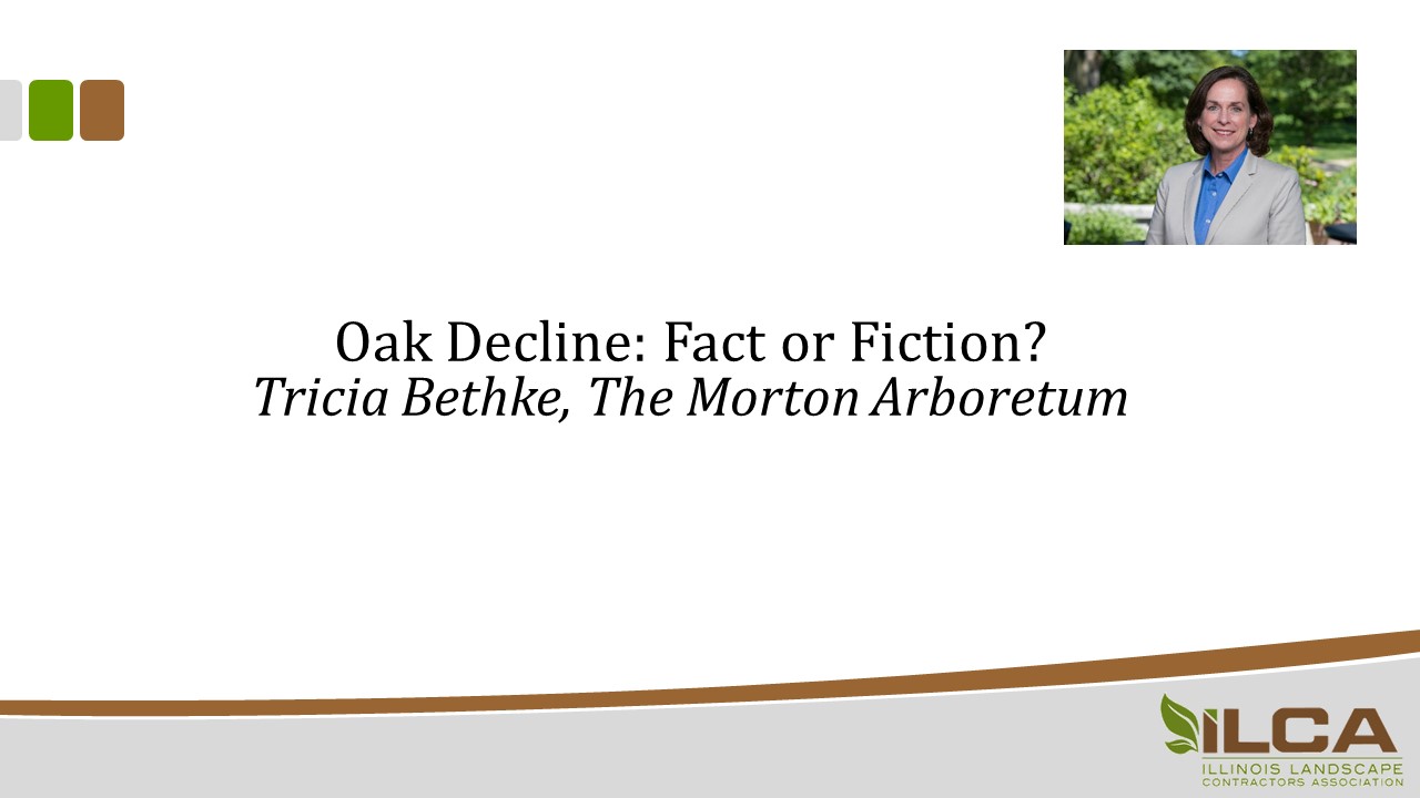 Oak Decline: Fact or Fiction?
