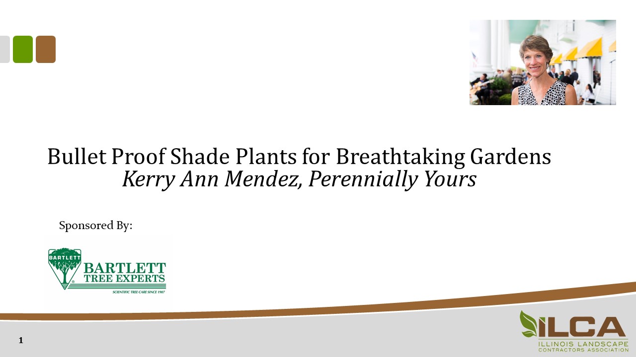 Bullet-Proof Shade Plants for Breathtaking Gardens