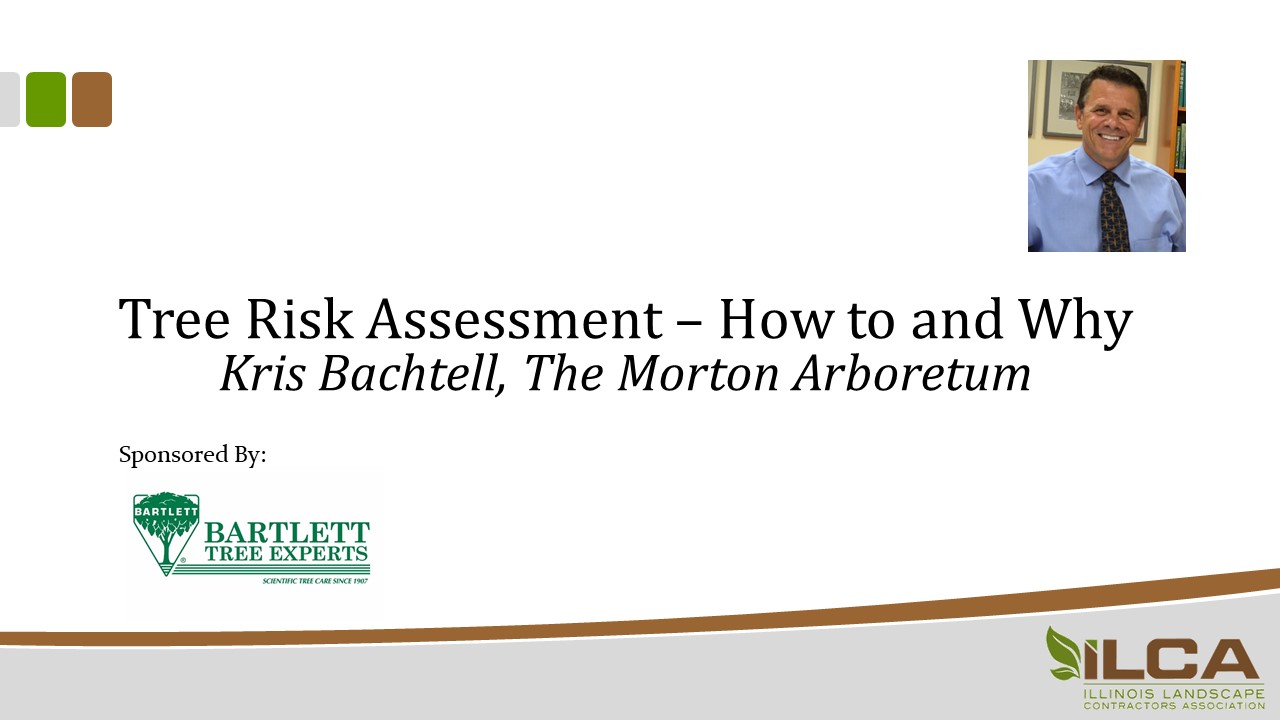 Tree Risk Assessment - How to and Why