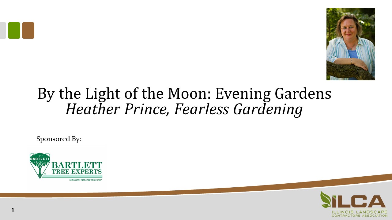 By the Light of the Moon: Evening Gardens