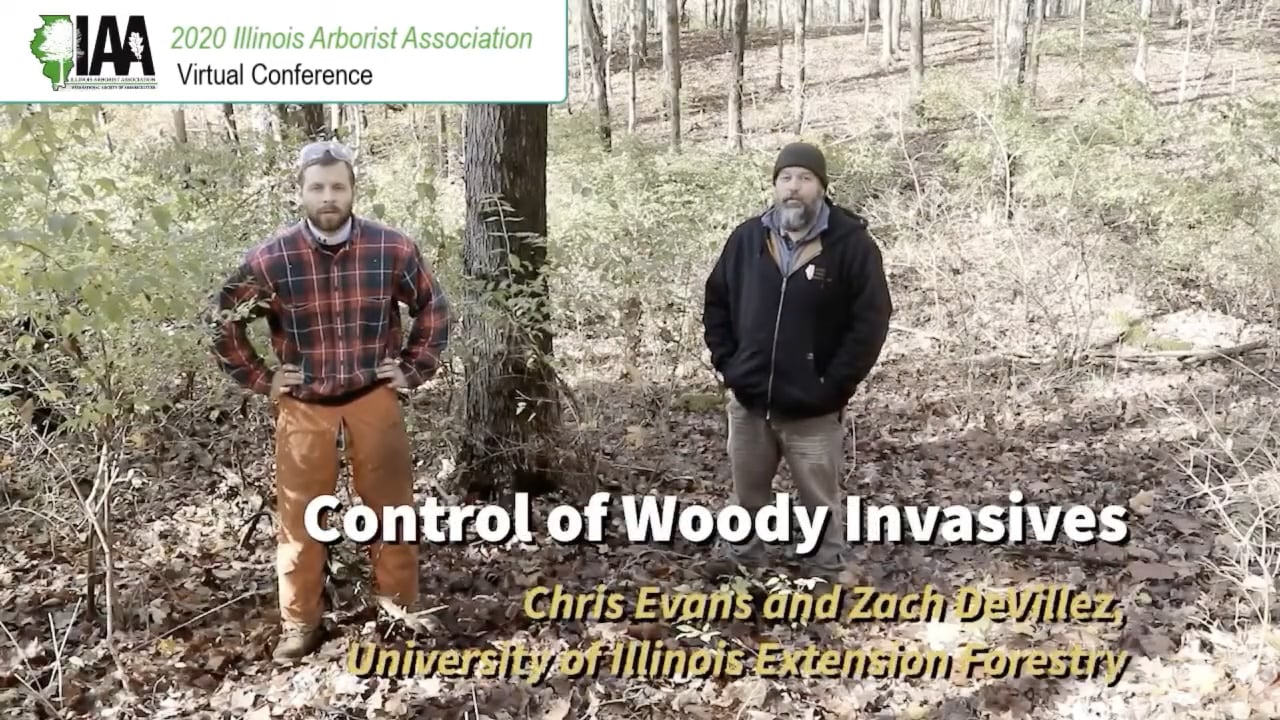 IAA - Woody Plant Control Techniques