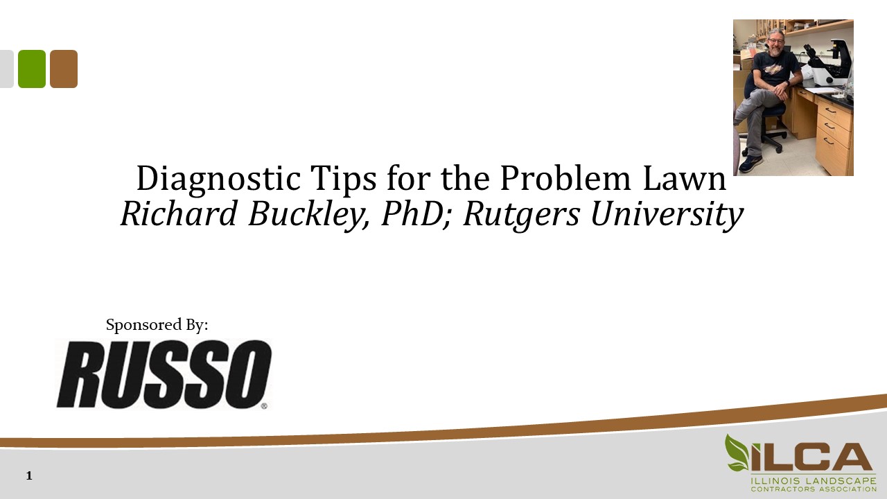 Diagnostic Tips for the Problem Lawn