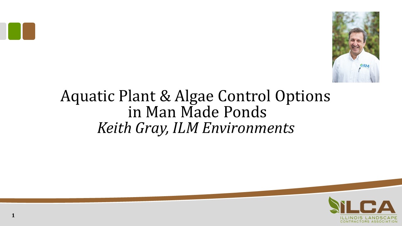 Aquatic Plant and Algae Control Options in Man Made Ponds