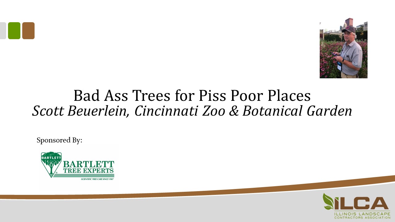 Bad Ass Trees for Piss Poor Places