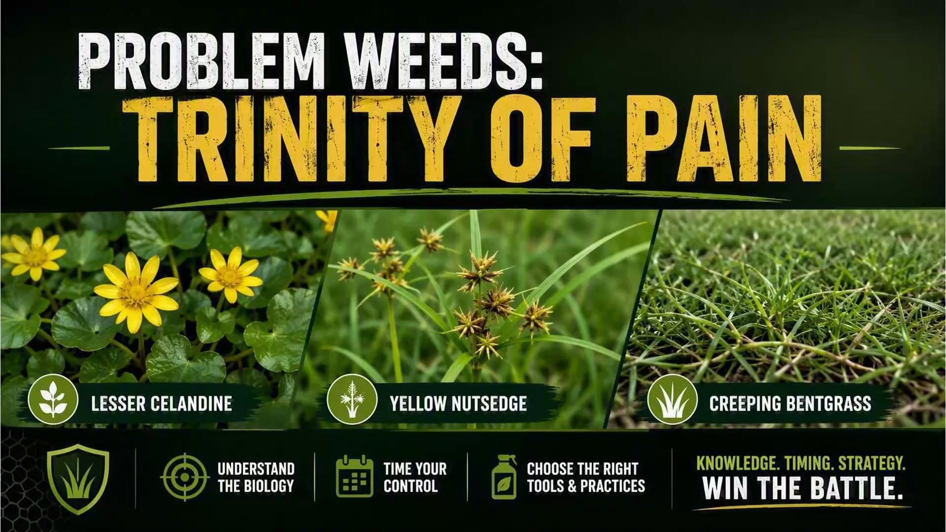 Problem Weeds: Trinity of Pain (2026)