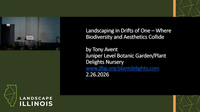 Landscaping in Drifts of One – where ...