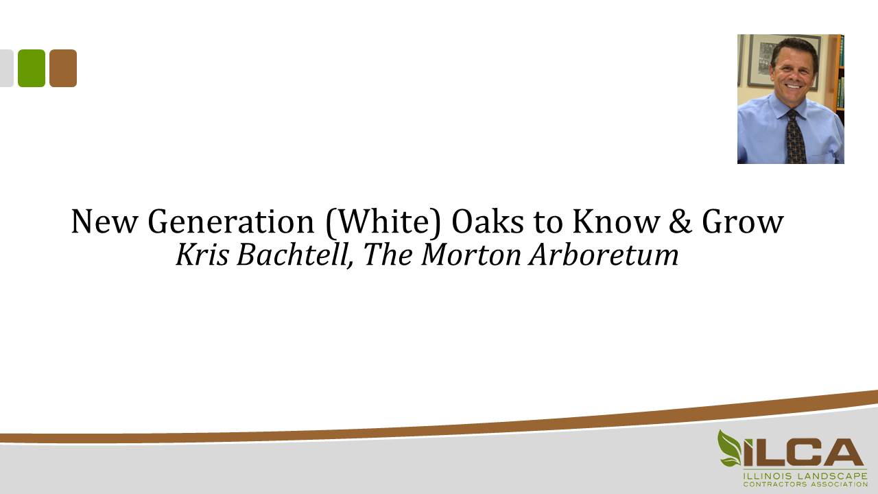 New Generation (White) Oaks to Know and Grow