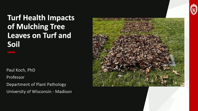 FreeTeaser_Turf Health Impacts of Mul...