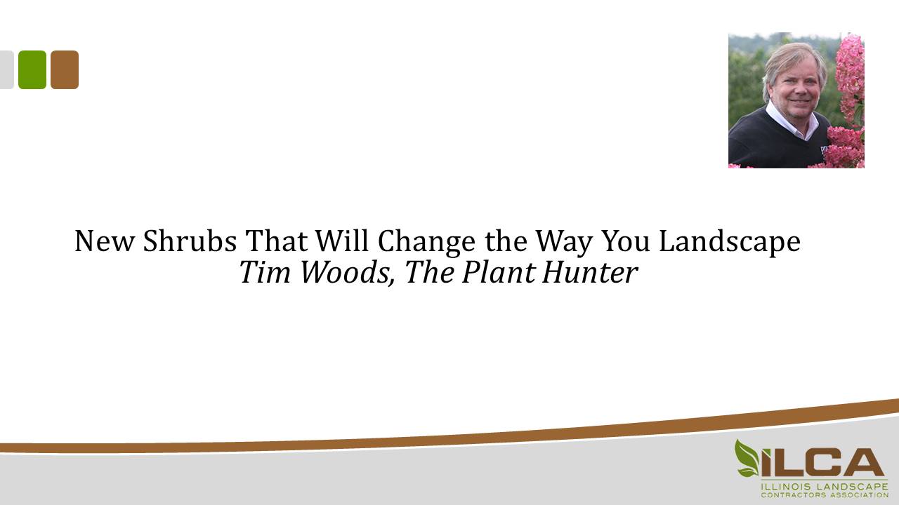 New Shrubs That Will Change the Way You Landscape