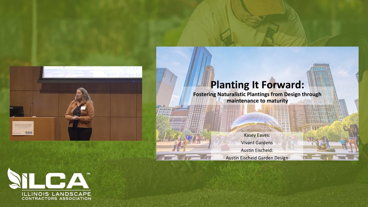 Planting it Forward: Fostering Naturalistic Plantings from Design to Maturity