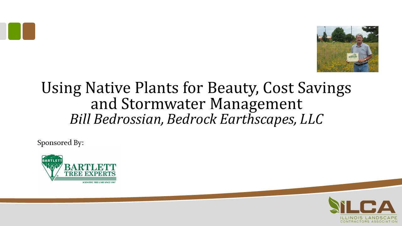 Using Native Plants for Beauty, Cost Savings, and Stormwater Management