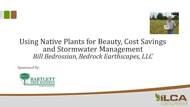Using Native Plants for Beauty, Cost ...