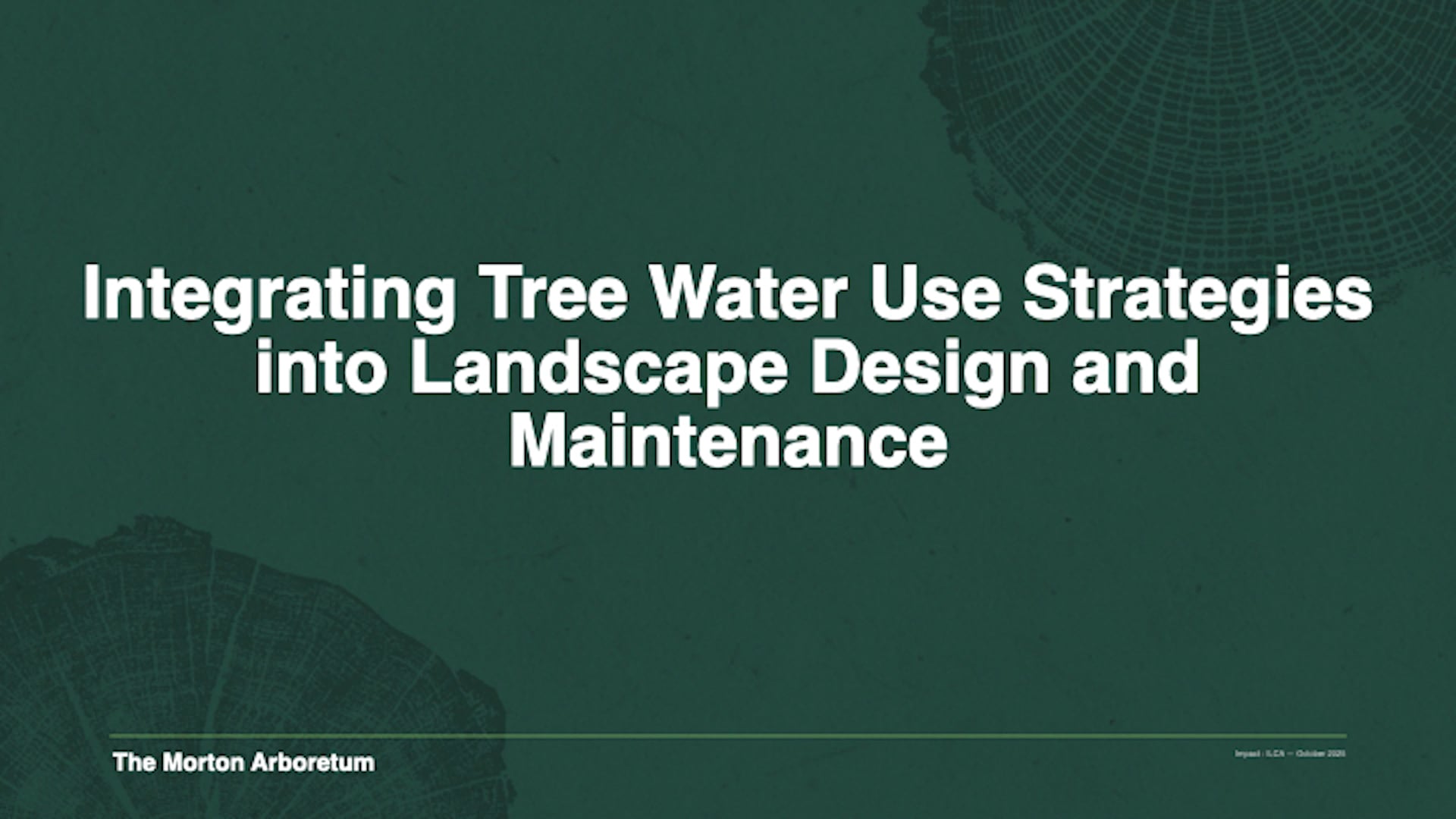 Integrating Tree Water Use Strategies in Landscape Design (2025)