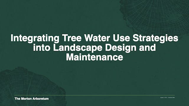 Integrating Tree Water Use Strategies...