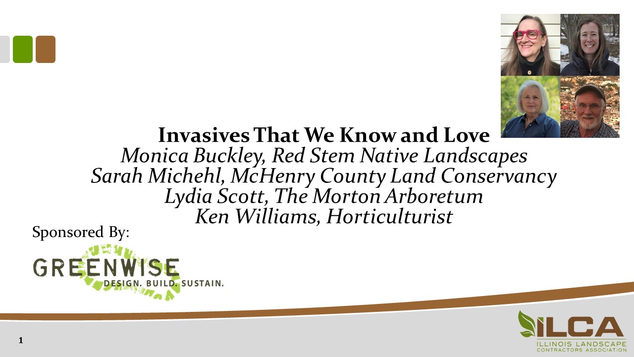 Invasives That We Know and Love