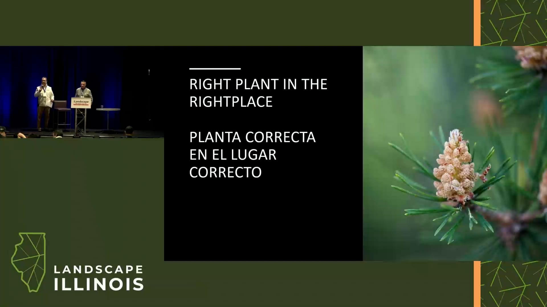 NLT: La planta correcta en el lugar correcto (2026)