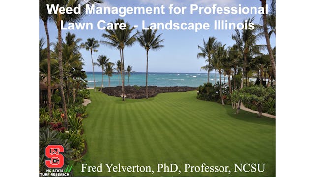 Management of troublesome turfgrass w...