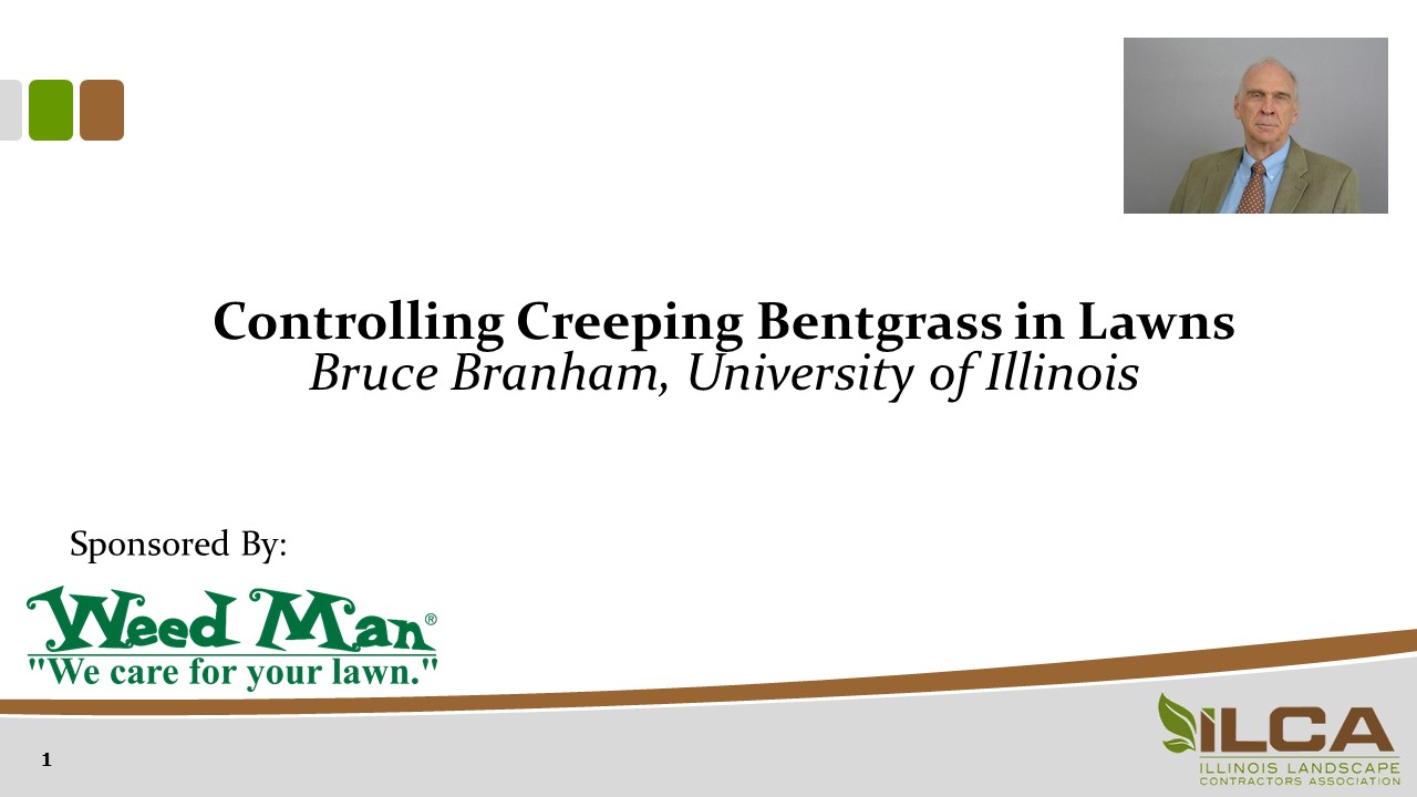 Controlling Creeping Bentgrass in Lawns