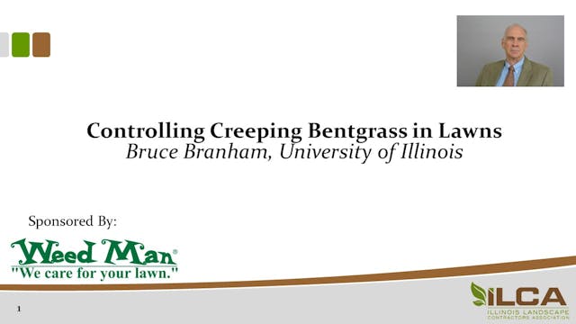 Controlling Creeping Bentgrass in Lawns