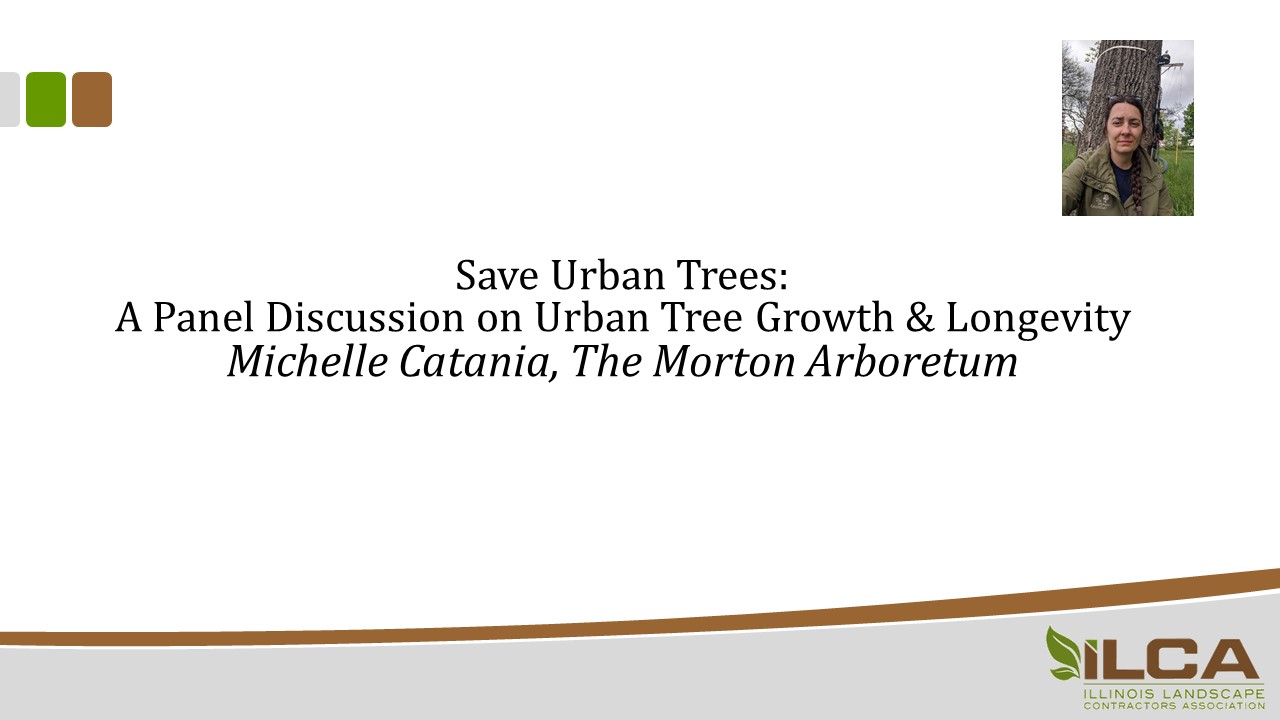 Save Urban Trees - A Panel Discussion on Urban Tree Growth and Longevity