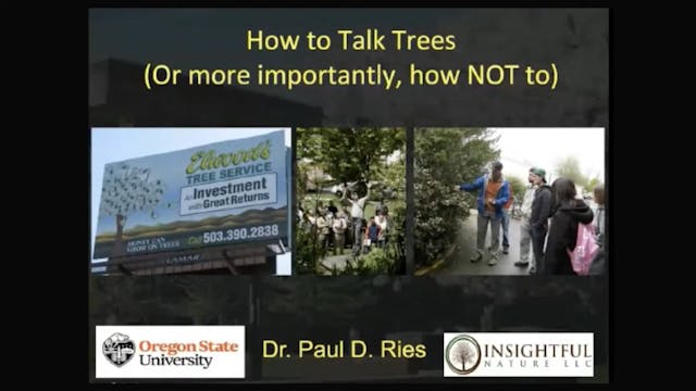 IAA - How to Talk Trees (and How Not to)