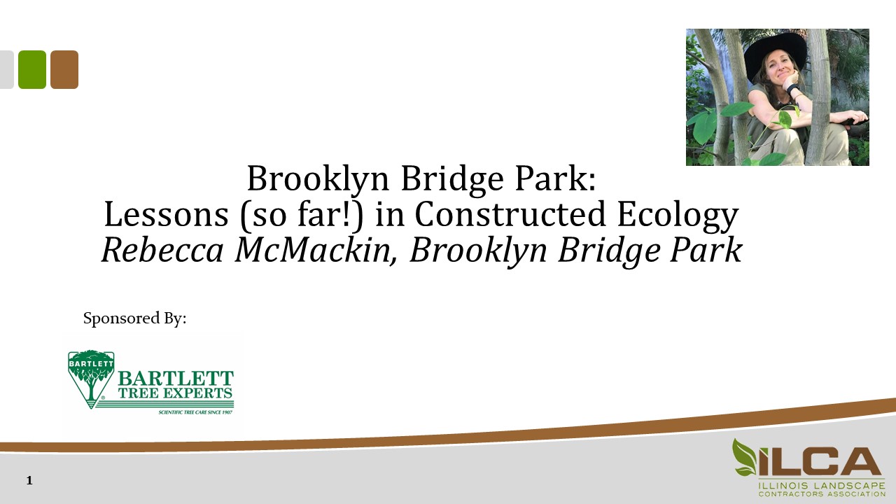 Brooklyn Bridge Park: Lessons (so far!) in Constructed Ecology