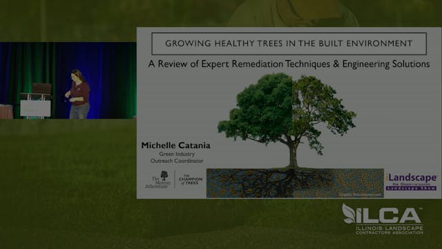 Growing Healthy Trees in the Built Environment