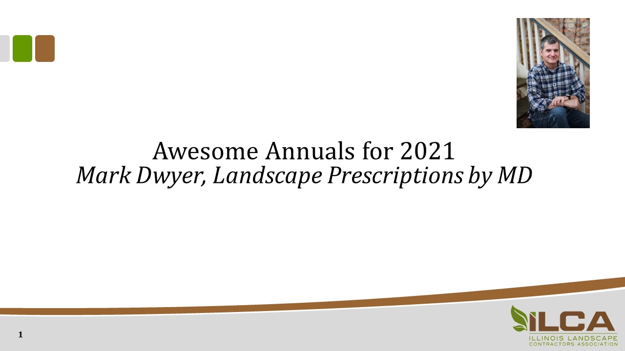 Awesome Annuals for 2021