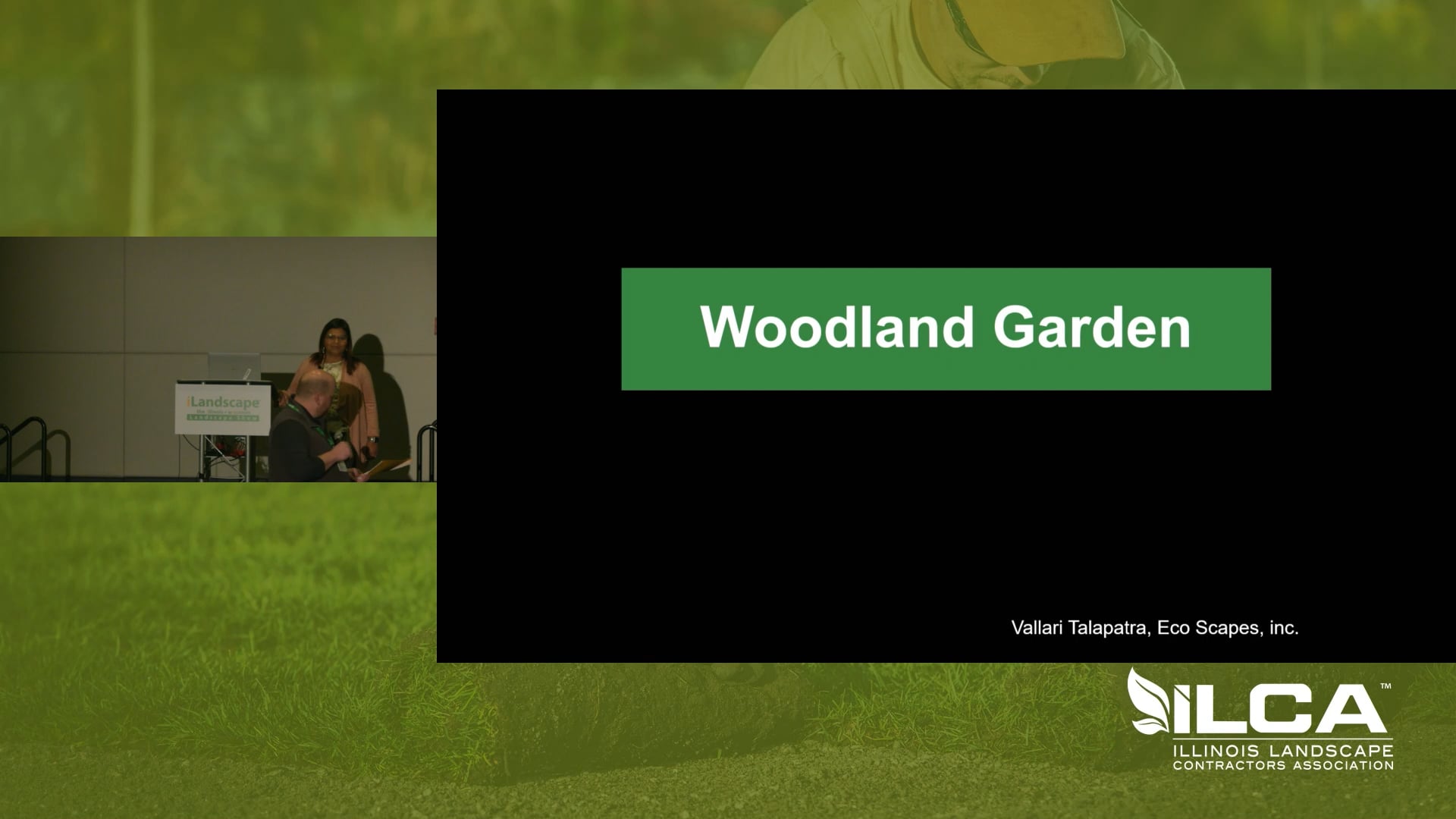 Designing a Woodland Garden