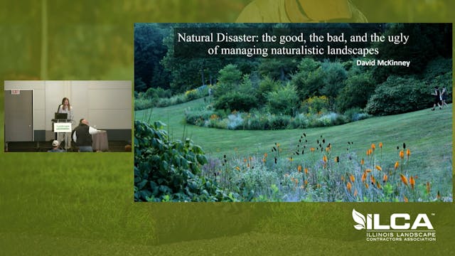 Natural Disaster: the Good, Bad & Ugly of Managing Naturalistic Landscapes