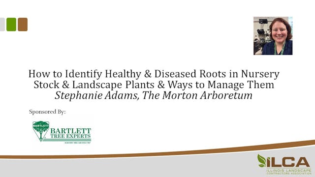 How to Identify Healthy & Diseased Ro...