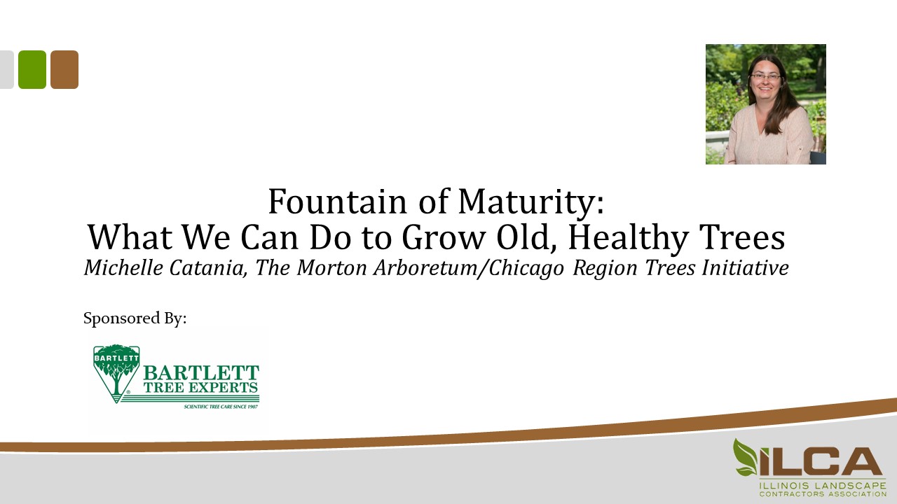 Fountain of Maturity: What We Can Do to Grow Old, Healthy Trees