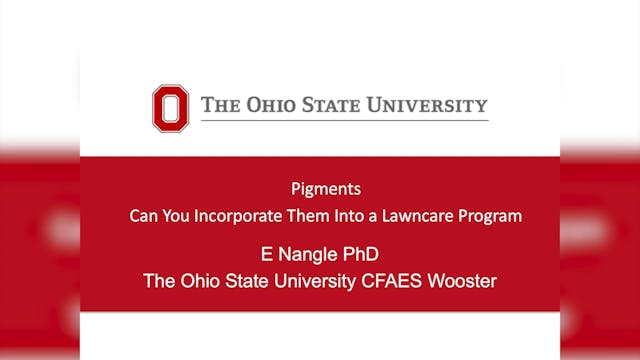 Pigments: Can you incorporate them in...