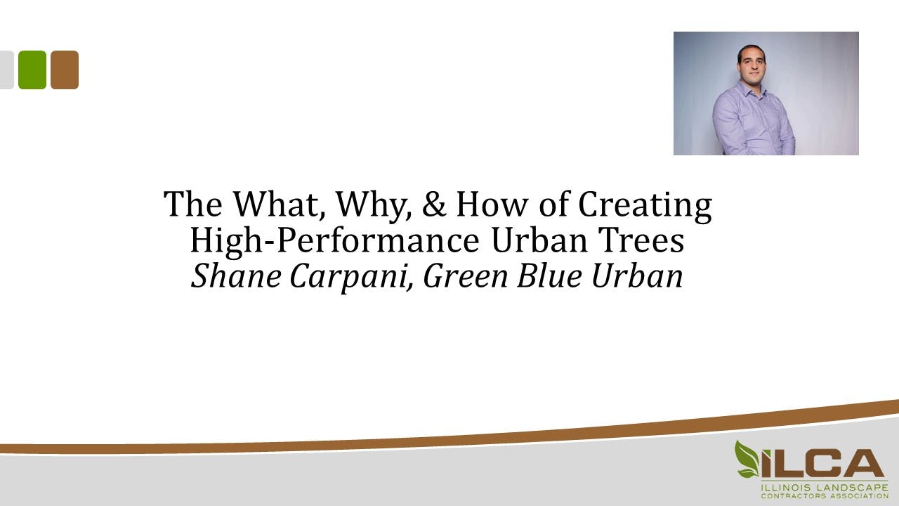 The What, Why, & How of Creating High-Performance Urban Trees - Bloom