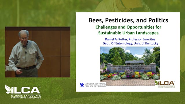 Bees, Pesticides & Politics