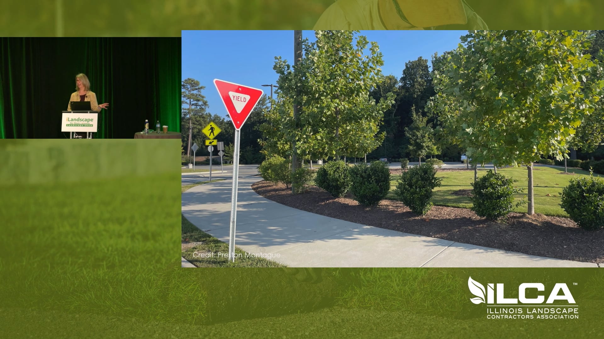 Native Plant Solutions to Familiar Landscape Challenges