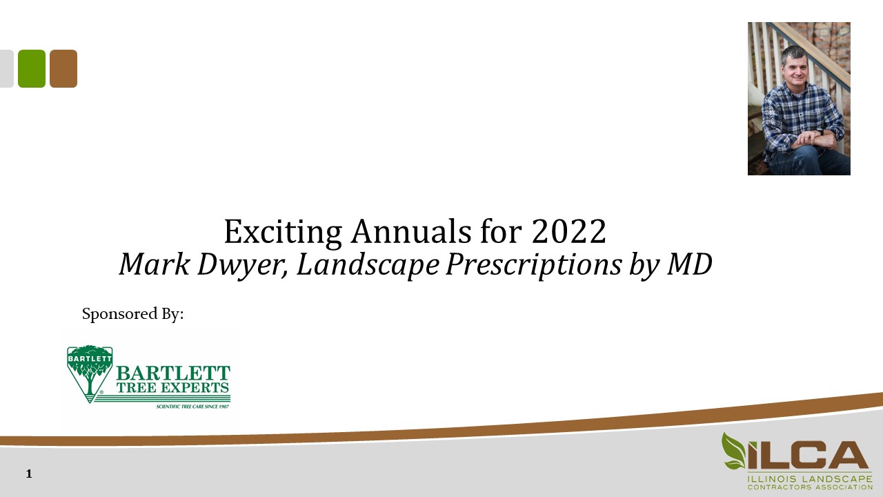 Exciting Annuals for 2022