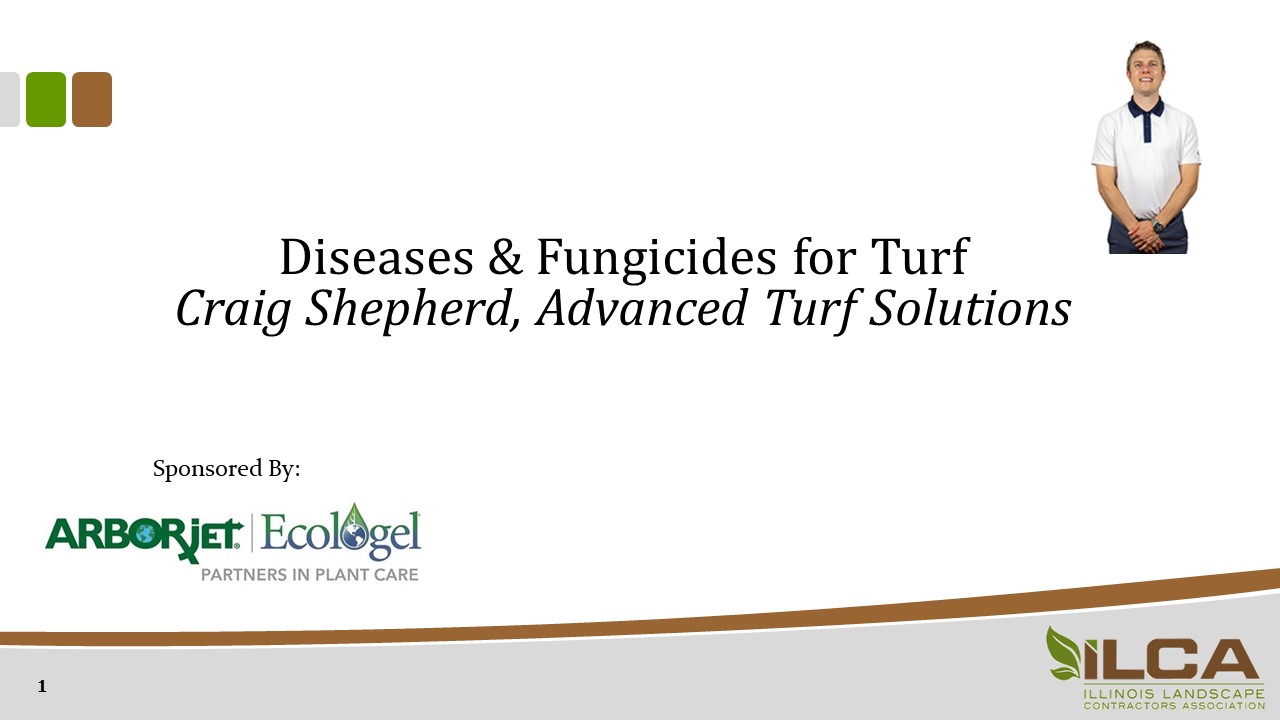 Diseases & Fungicides for Turf