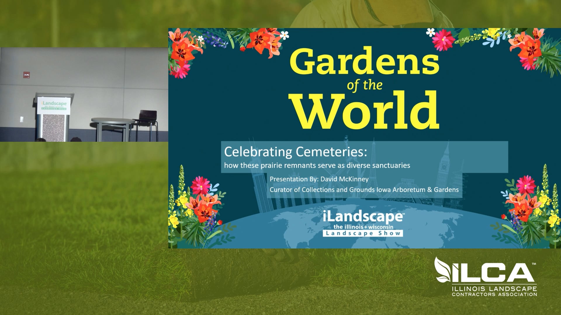 Celebrating cemeteries: how these prairie remnants serve as diverse sanctuaries