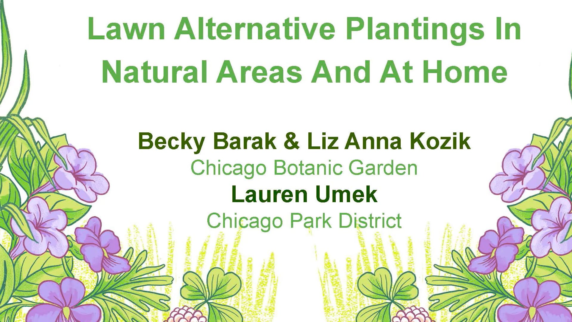 Lawn Alternative Plantings in Natural Areas and At Home (2025)