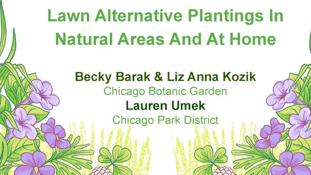 Lawn Alternative Plantings in Natural...