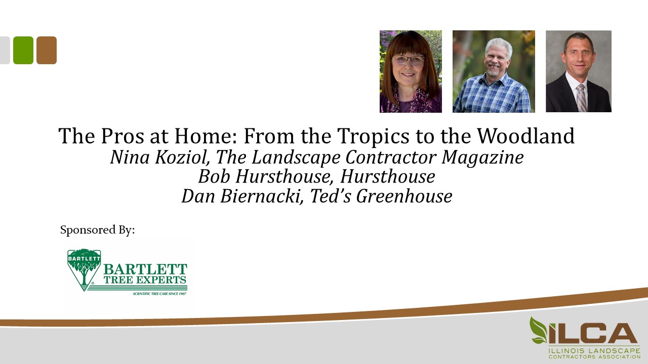 The Pros at Home - From the Tropics to the Woodland