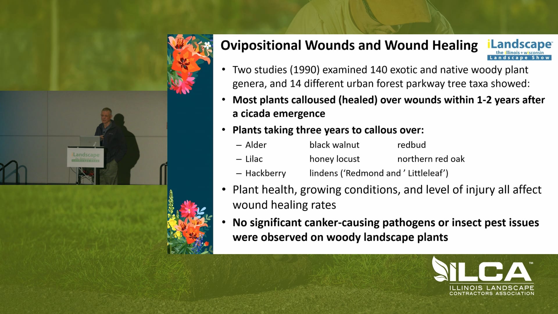 Woody Plant Health Update