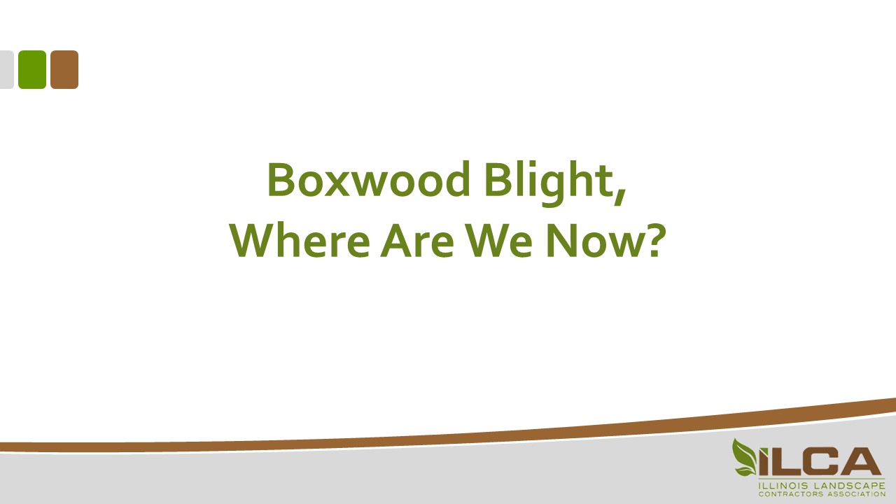 Boxwood Blight, Where Are We Now?