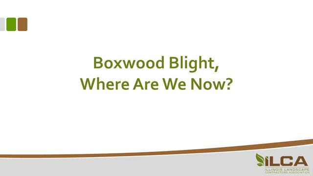Boxwood Blight, Where Are We Now?
